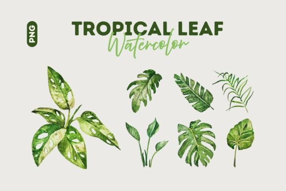 Download Tropical Watercolor Leaf Collection - Collection Collection