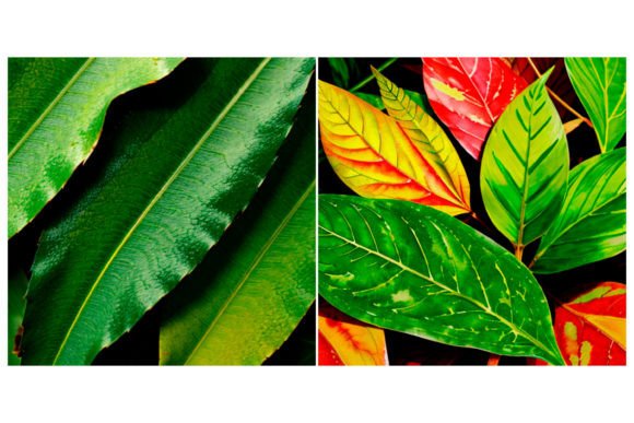 Download 2 Watercolor Leaf Pattern - Leaf pattern Collection