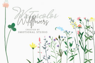 Download Watercolor Wildflowers High Res&nbsp; - Premium Resources