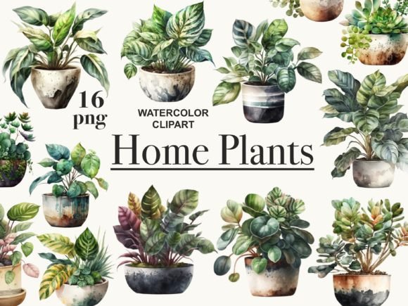Download House Plants Clipart, Potted Plants Png - Premium Resources